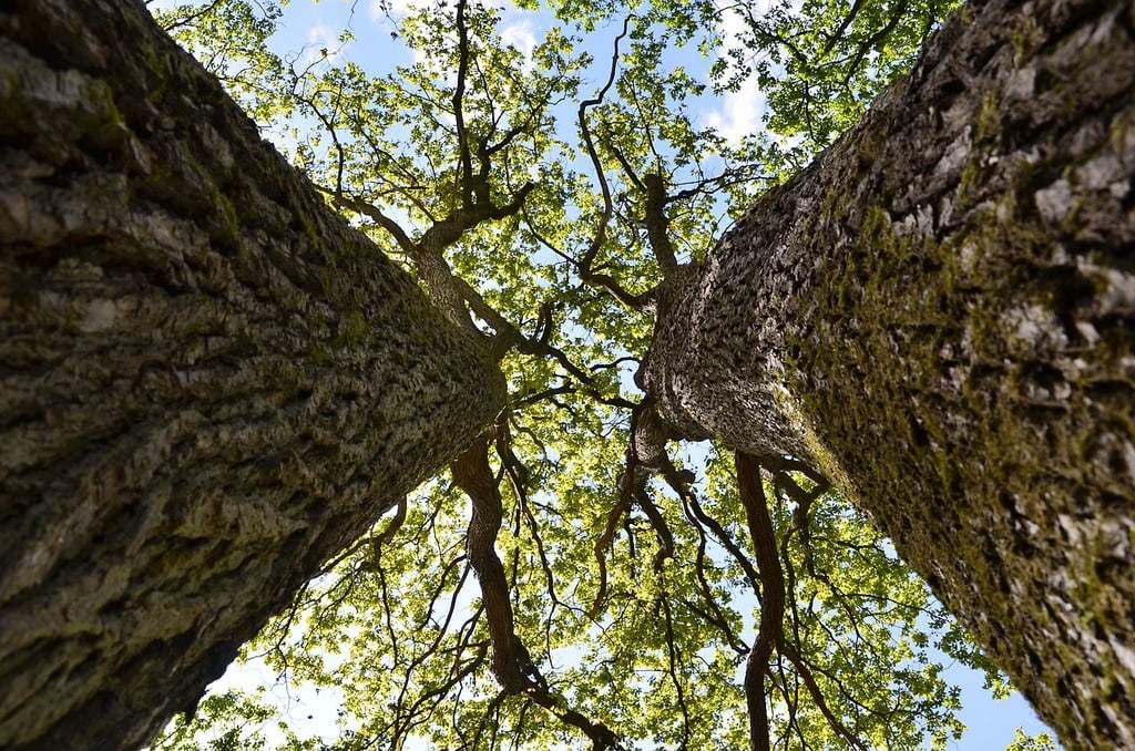 Les plus beaux parcs naturels à explorer